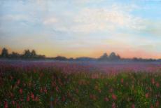 foggy-morning-50-70.jpg